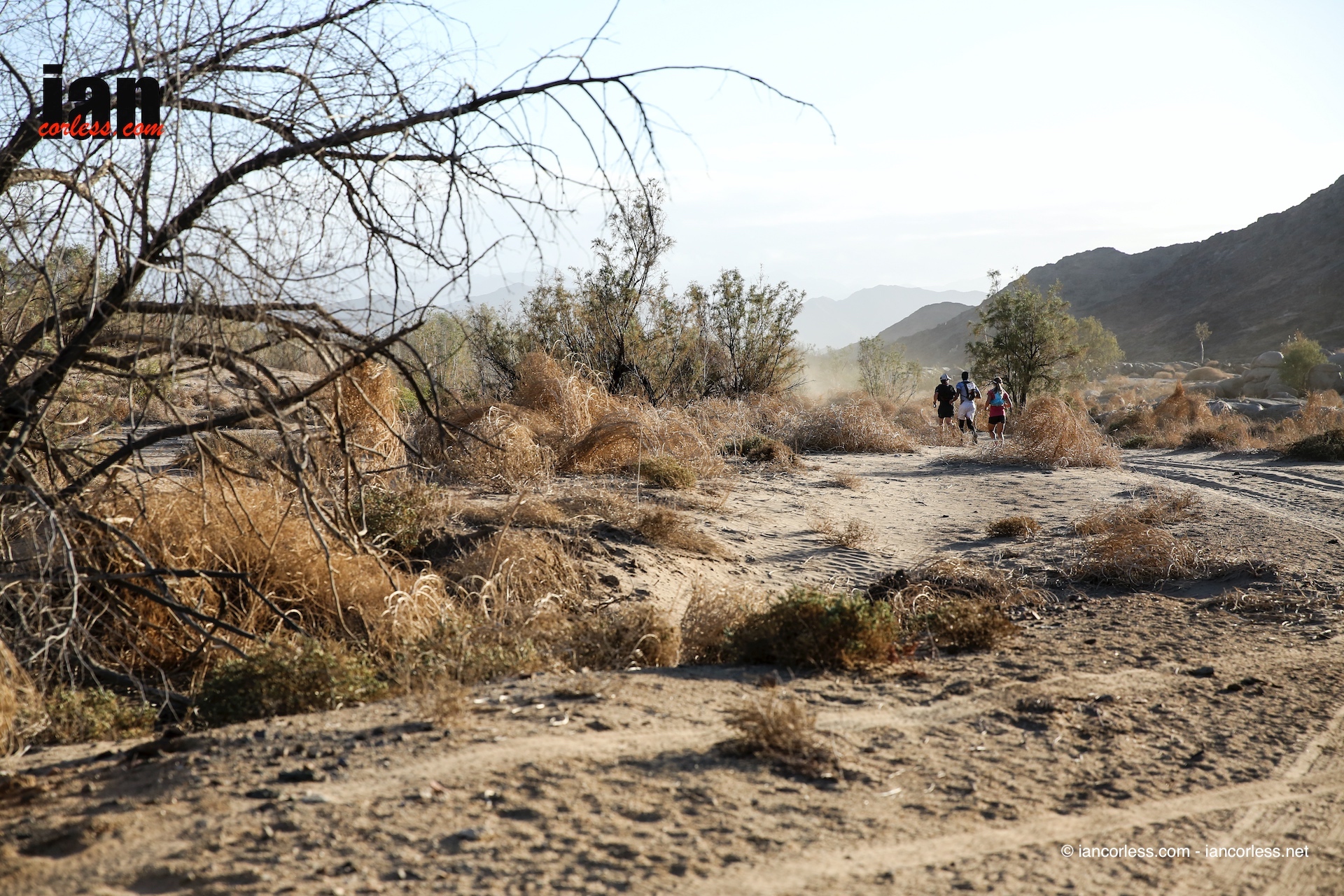 ©iancorless.com_Richtersveld2016_Day4-8703