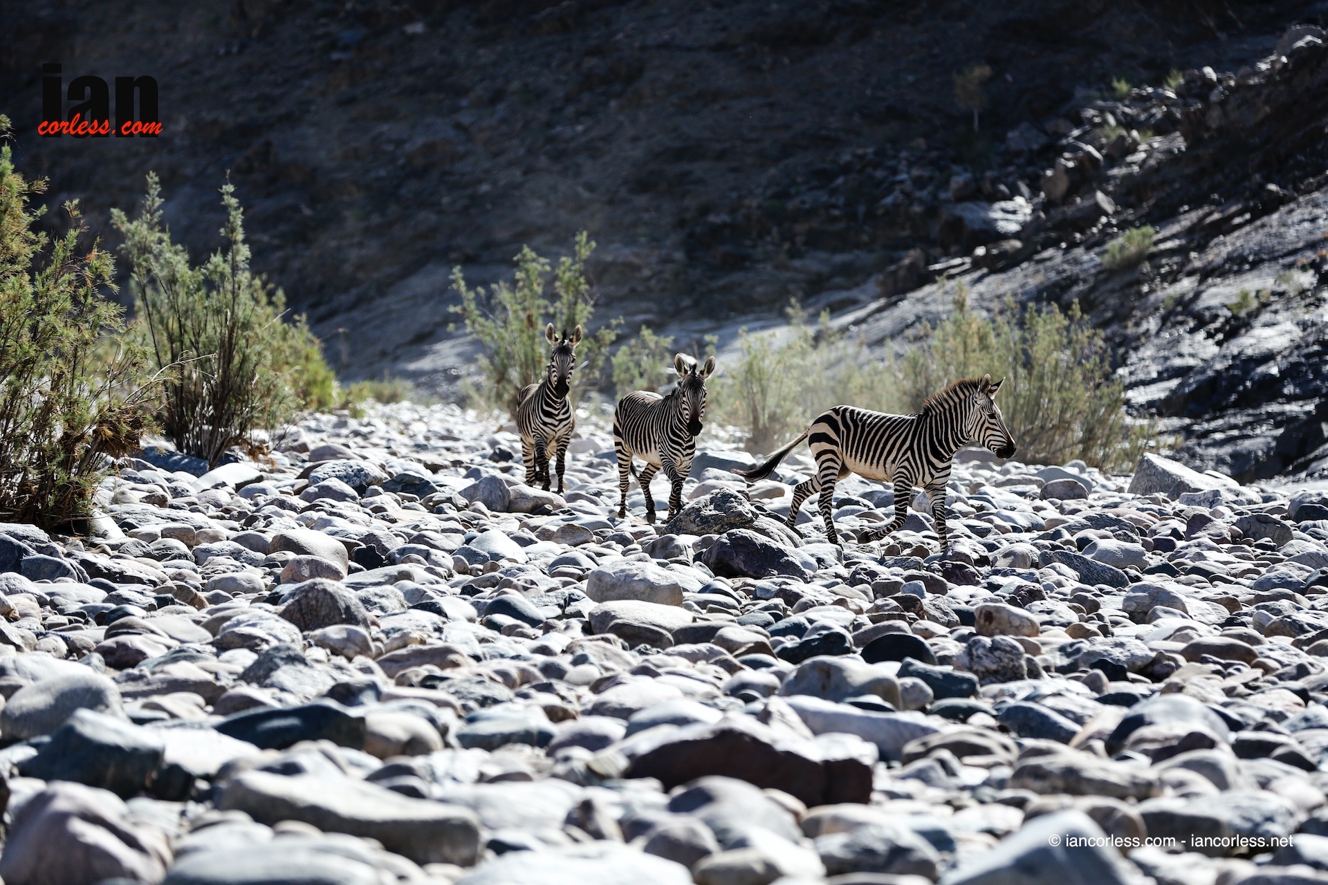 ©iancorless.com_Richtersveld2016_Day4-5010.jpg