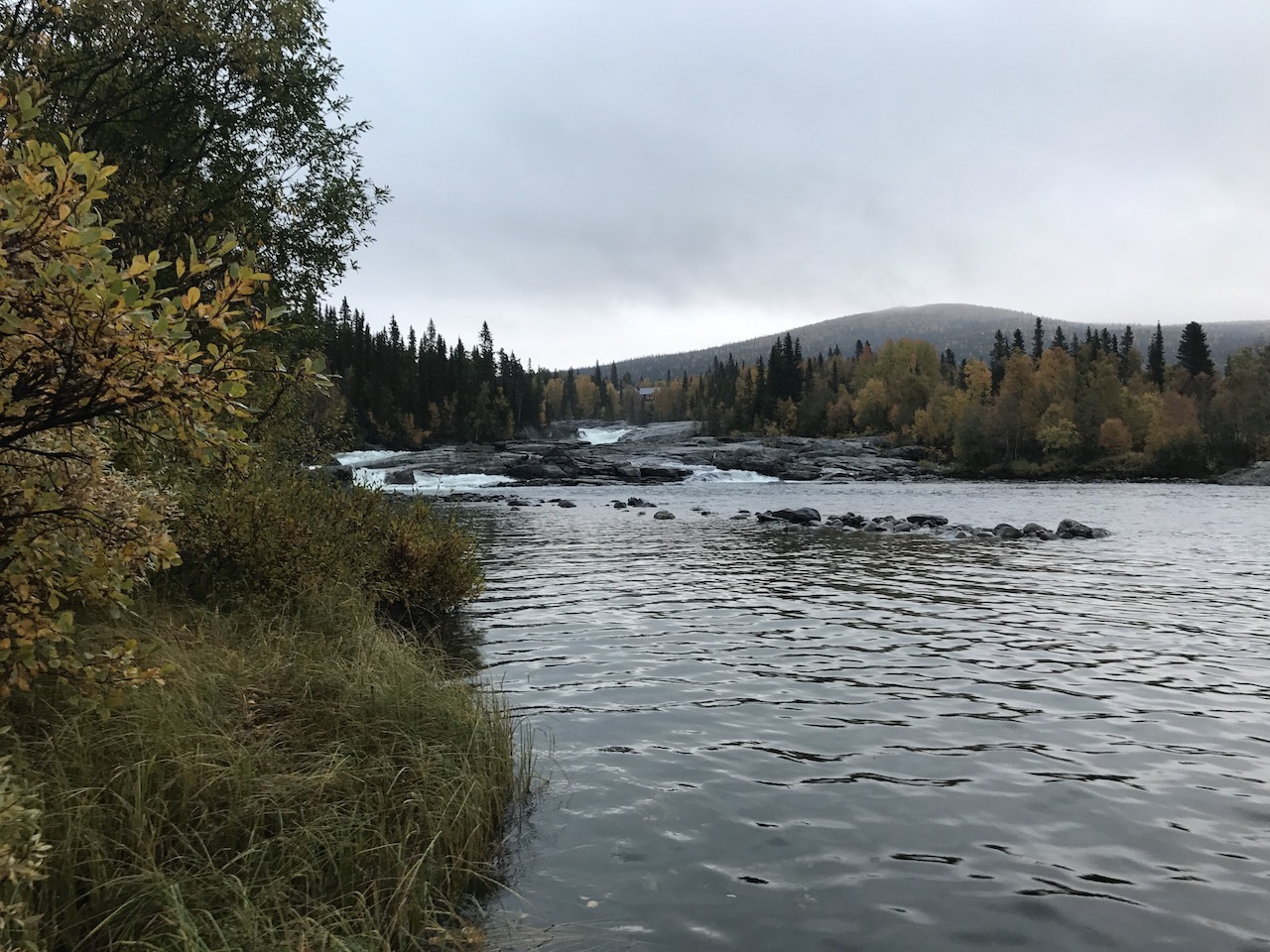 Kungsleden Kvikkjock