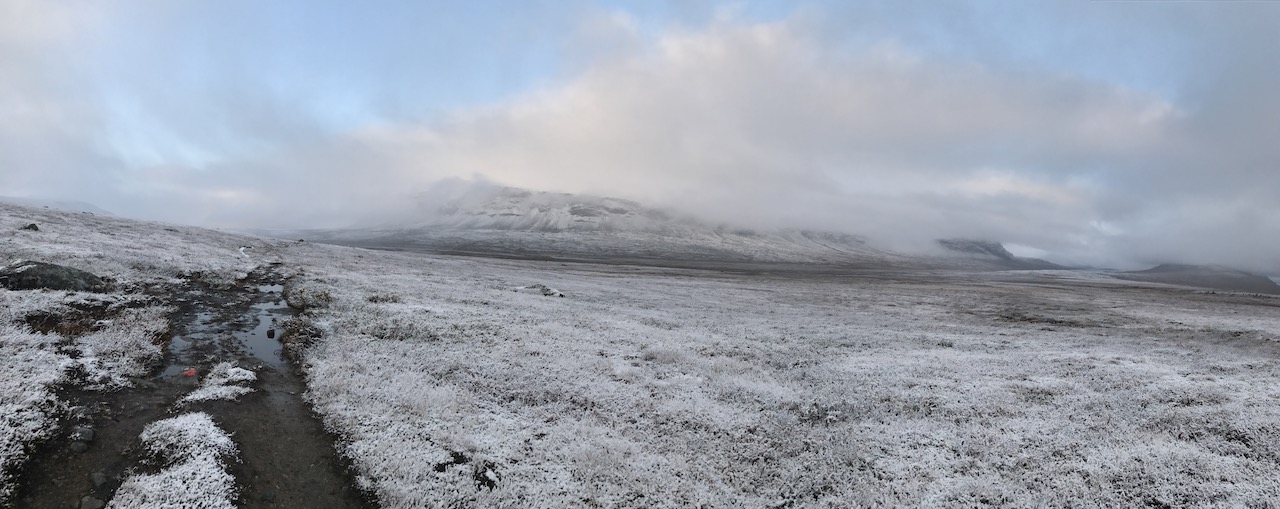 Kungsleden