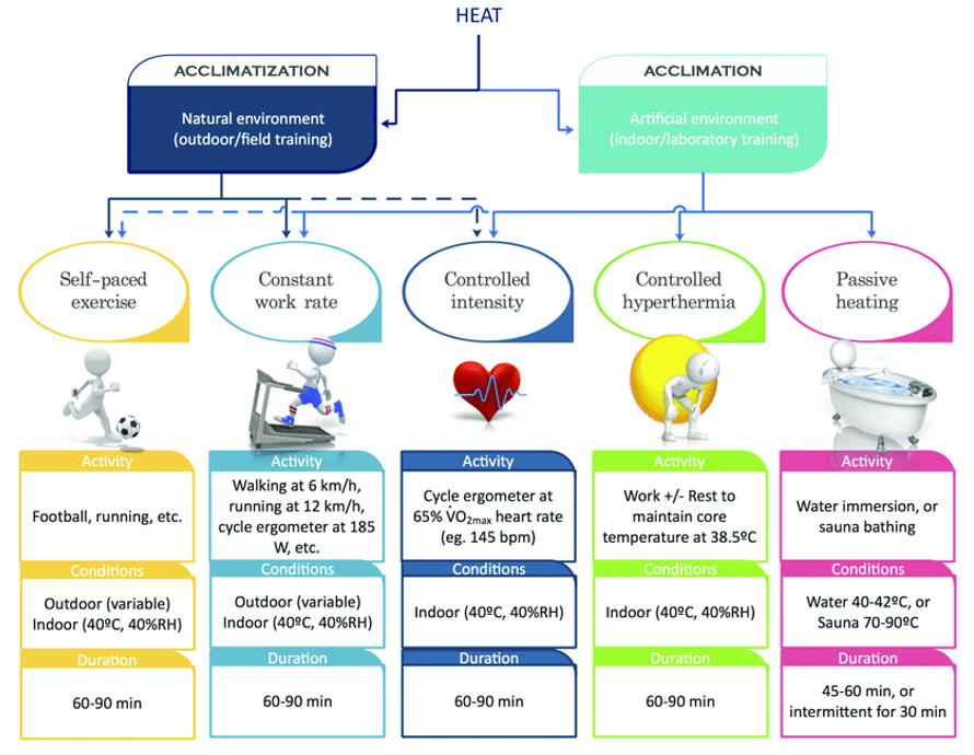 heat acclimation vs heat acclimatisation methods. Graphic.